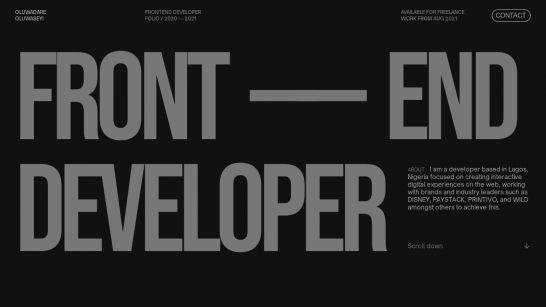 Seyi -- Developer